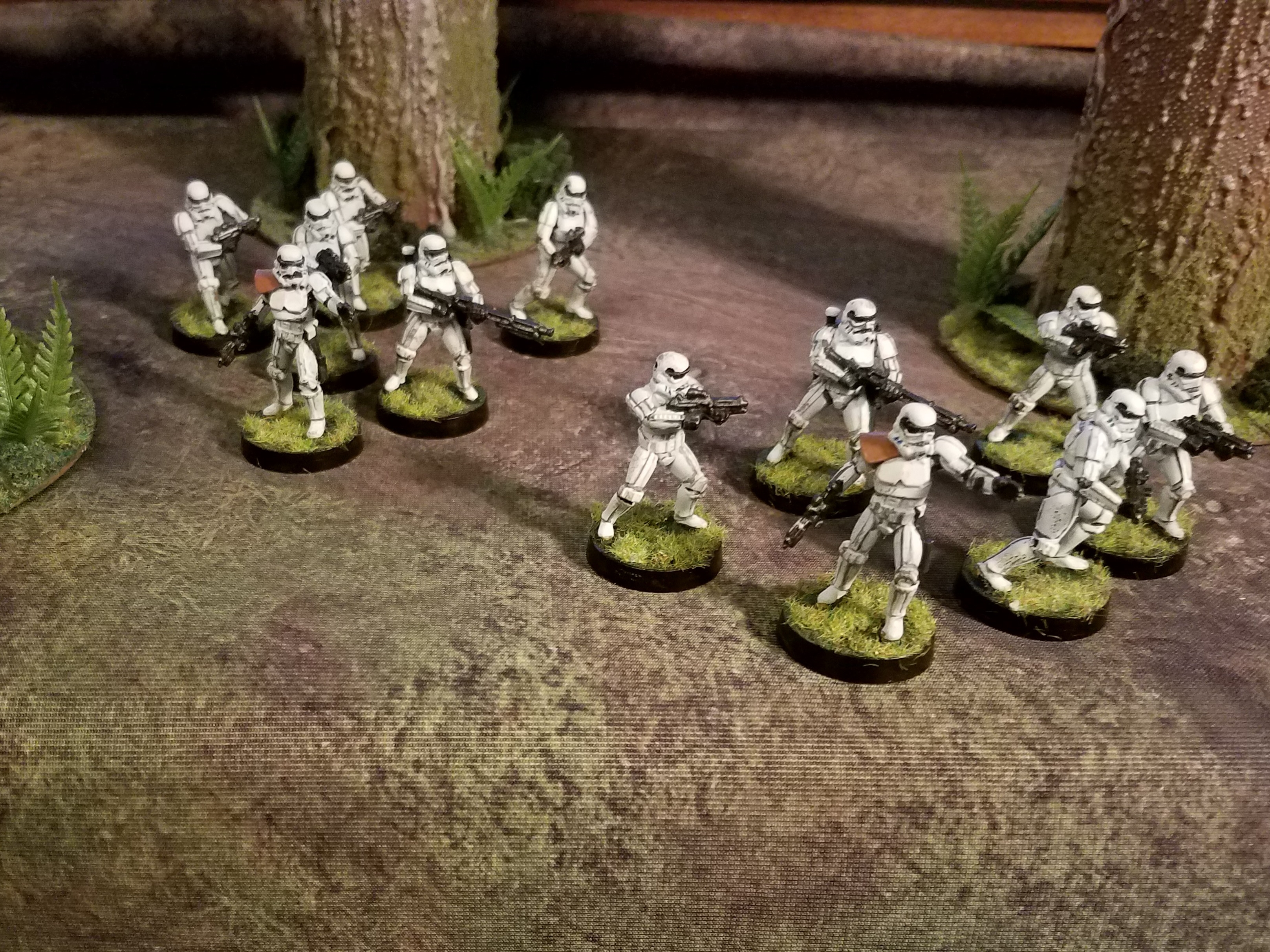 12 Stormtroopers.jpg