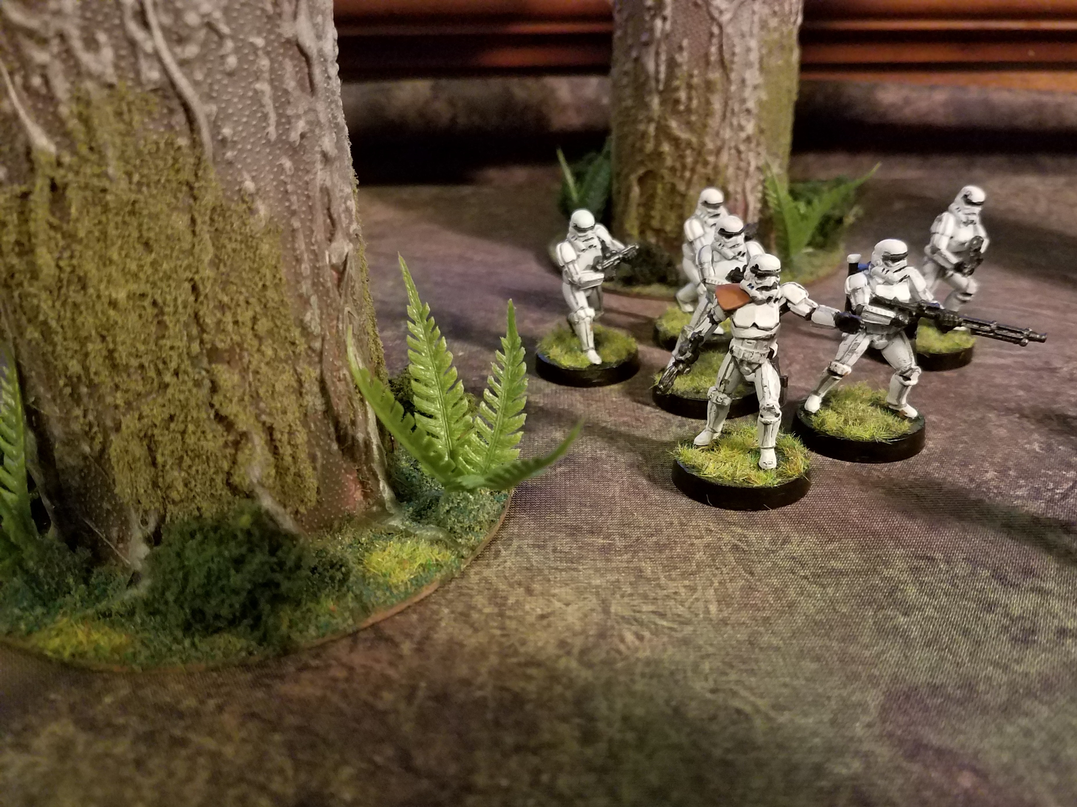 Stormtroopers and Endor Trees